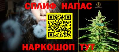 дживик Сланцы
