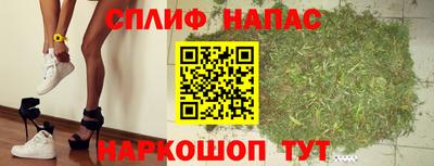 стафф Славгород
