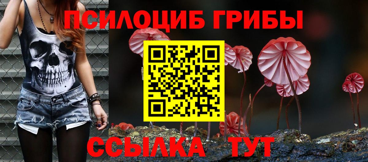Малоярославец  где продают наркотики  Вход с VPN  Галлюциногенные грибы Magic Shrooms  Псилоцибиновые грибы Psilocybine cubensis 